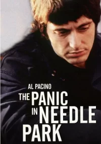 دانلود فیلم The Panic in Needle Park 1971
